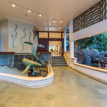 @ Marbella Lane - Oceanview Suite Steps To Beach Honolulu Exterior photo